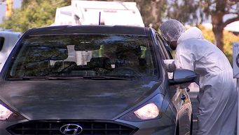 coronavirus: 1.227 casos nuevos y murieron dos personas