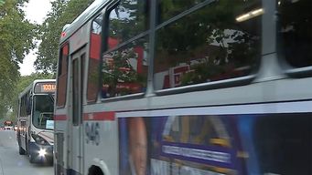 cutcsa pone toda su flota en circulacion este domingo entre las 7 y las 20 horas