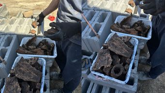 Fotos y video cedidos a Subrayado.