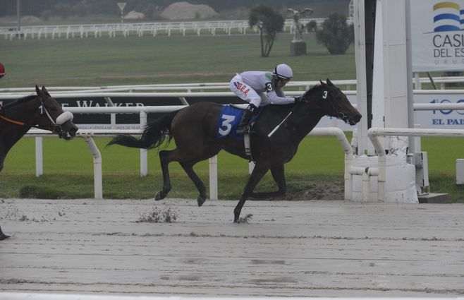 mi carabela turf (3).jpg