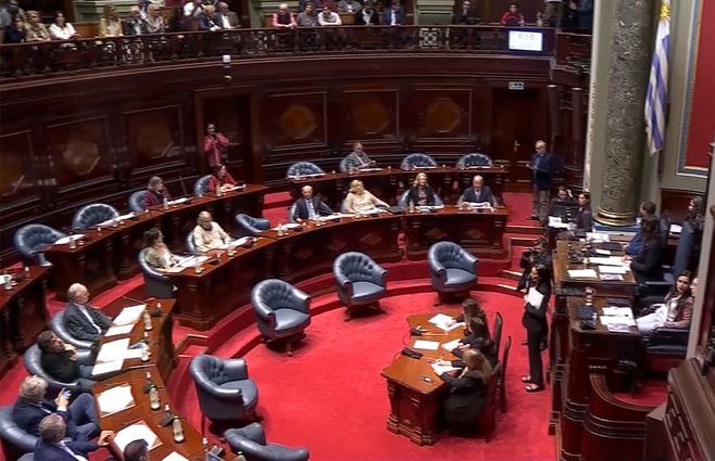senado-homenaje-peña.jpg