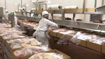 crisis en frigorifico de salto: 300 trabajadores estan sin faena desde diciembre y reclaman informacion a la empresa