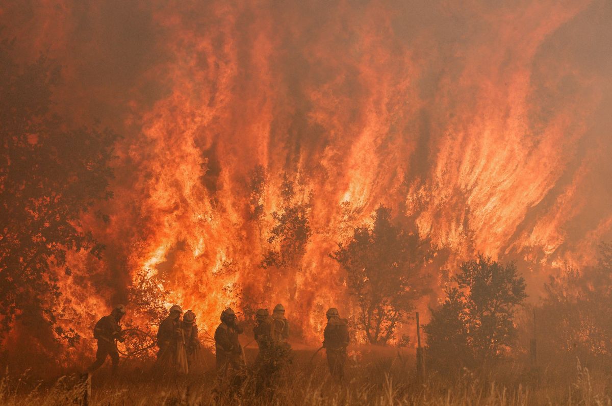 Los bomberos operan en el lugar de un incendio forestal en Pumarejo de Tera, cerca de Zamora, en el norte de España, el 18 de junio de 2022. Foto: AFP.&nbsp;