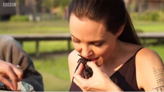 angelina come aranas