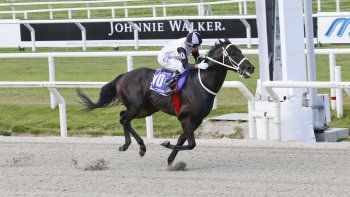 Subrayado | MICRO TURF 15 D FEB