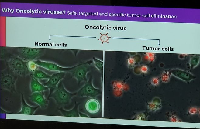 investigacion-para-cancer