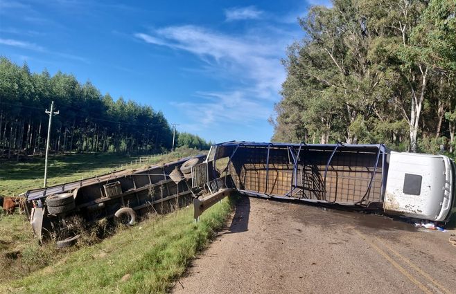 accidente-camion-ganado-ruta-26-tacuarembo.jpg