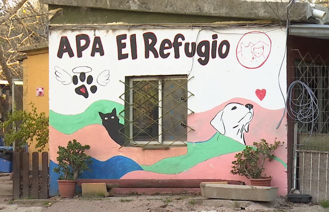 apa-el-refugio-montevideo.jpg