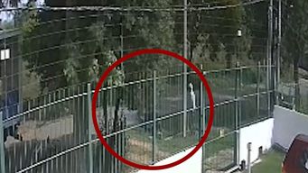 un delincuente intento rapinar a un repartidor y fue detenido por el trabajador y un vecino, ambos heridos