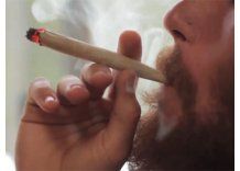 Con ley de marihuana se podrá fumar dos porros por día