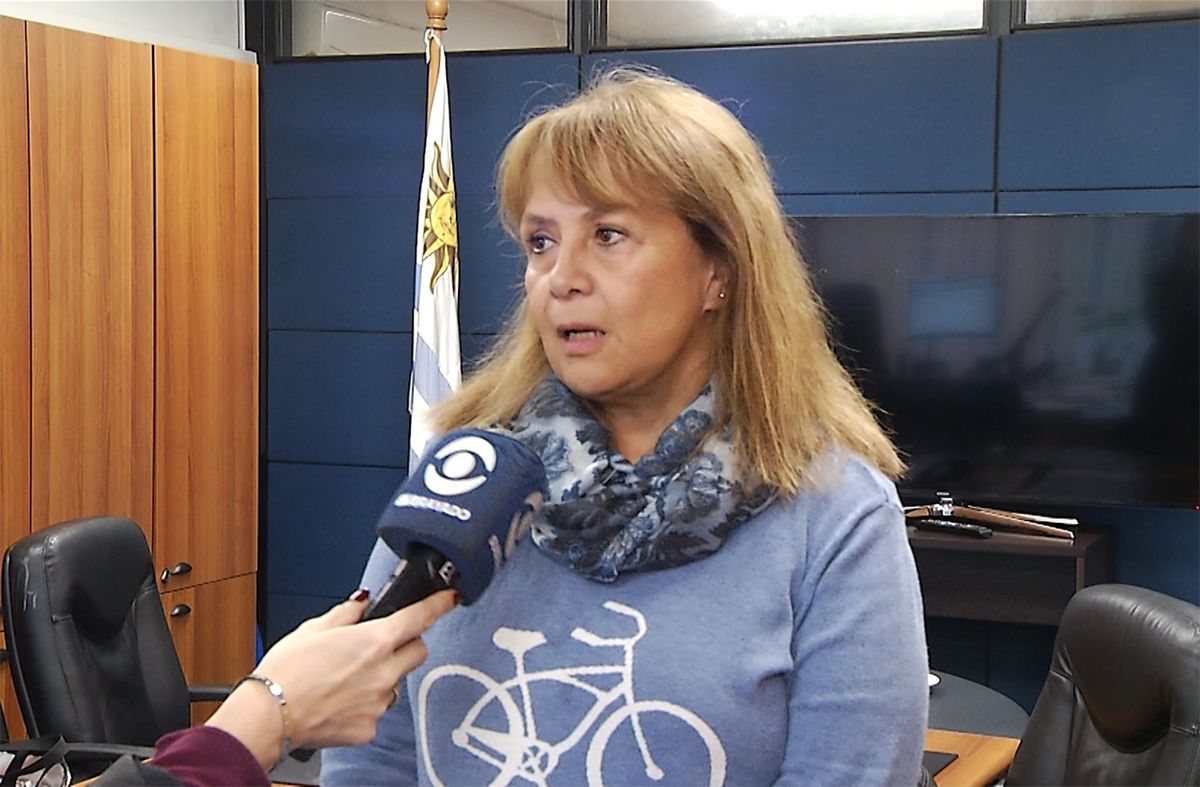Jutep recibió seis denuncias anónimas por la camioneta de Orsi, que tratará en la sesión del viernes