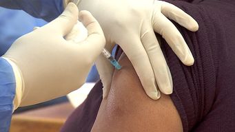 comenzo la campana de vacunacion contra la gripe: ¿a quienes vacunan primero?