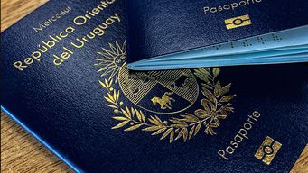 la realidad los paso por encima y renuncie canciller: oposicion tras marcha atras por los pasaportes