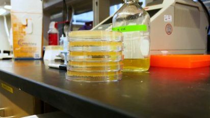 hay 238 casos de coronavirus y 4 pacientes permanecen en cti