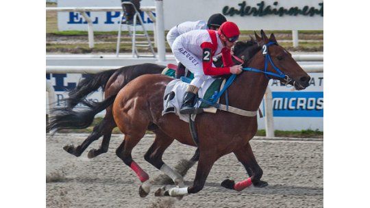 Los clásicos son lo más atractivo del fin de semana hípico