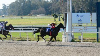 Subrayado | MICRO TURF 9 D AGO