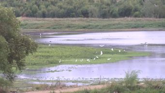 sequia: asi esta la laguna del cisne, que abastece parte de la costa de oro