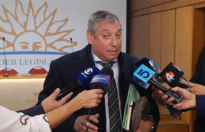 enciso-investigadora-maria-dolores