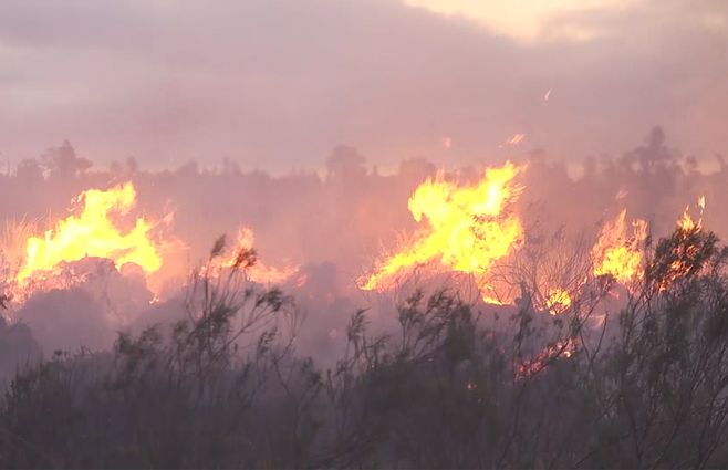 incendio-campo-forestal-bomberos