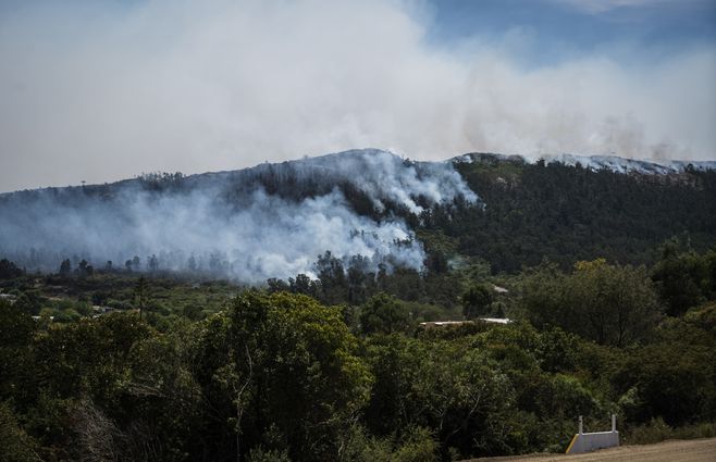 INCENDIO CERRO DEL TORO FOCO UY (3).jpeg