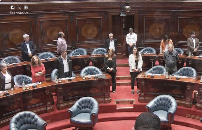 Senado-cambios-suplentes-por-ministros.jpg
