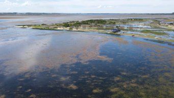 Foto: Subrayado. Laguna Garzón, Maldonado.