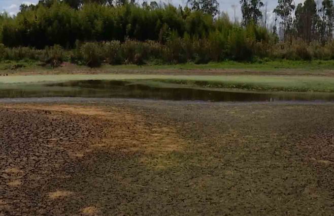 Campo con falta de lluvias. (Foto: archivo).