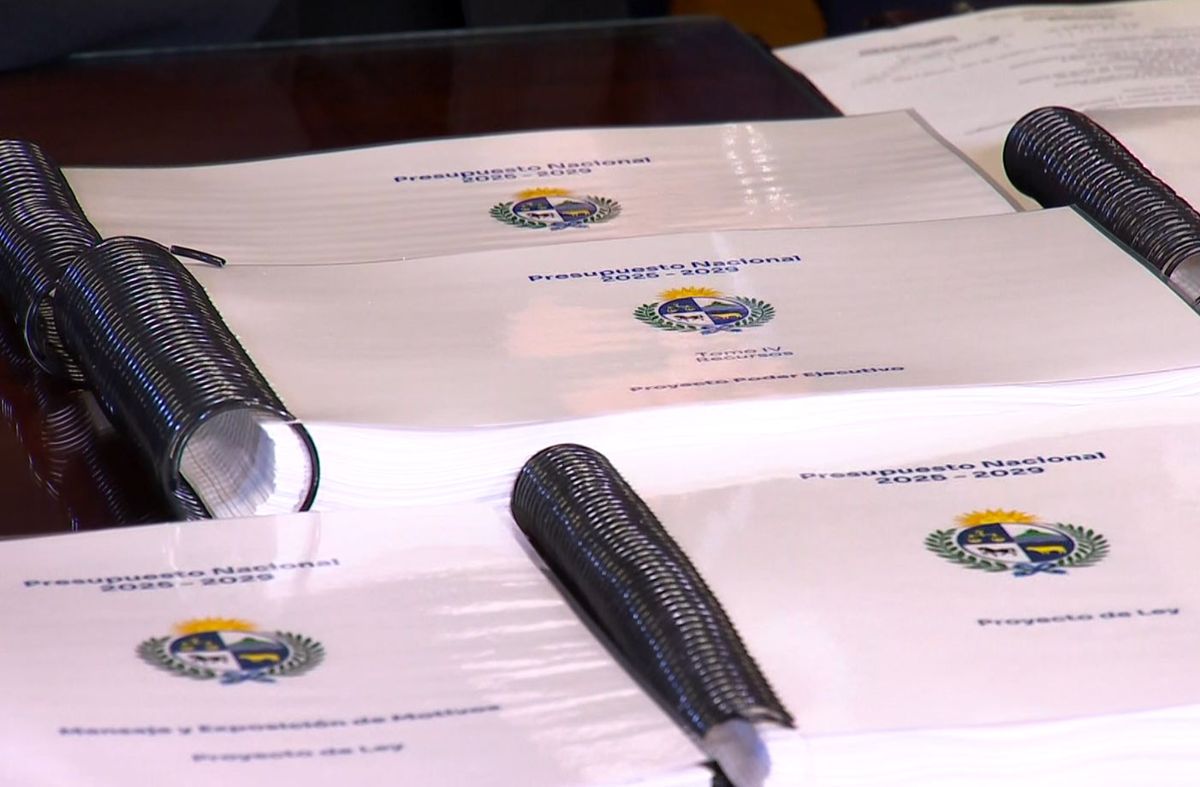 Presupuesto: mínimo global, ajustes al IRPF y «IVA Temu»