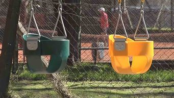 aumenta la violencia hacia ninos, ninas y adolescentes: sipiav atendio 2.501 nuevos casos en 2024