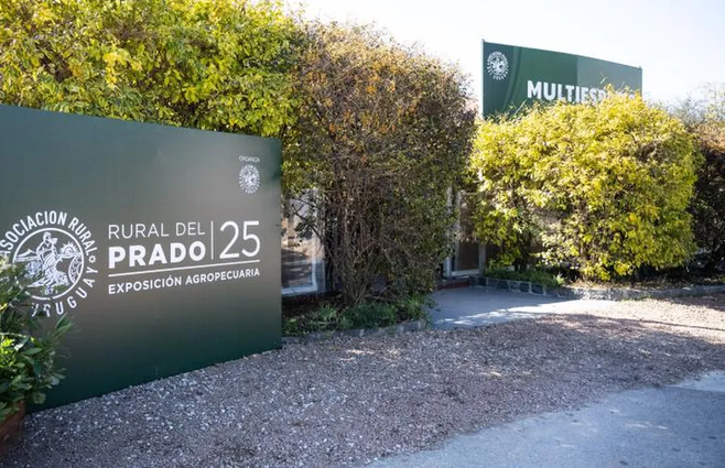 20250811dicimouypd9233