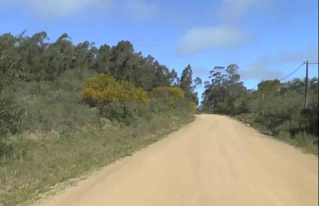 rocha-cazador.jpg