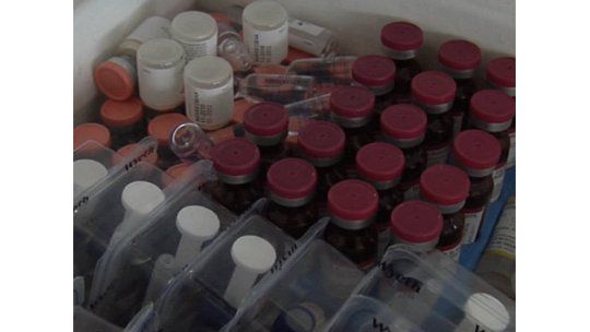 Vacunación para adultos contra la gripe comienza el lunes
