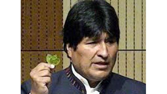 Evo Morales recomendó la hoja de coca para curar la diabetes
