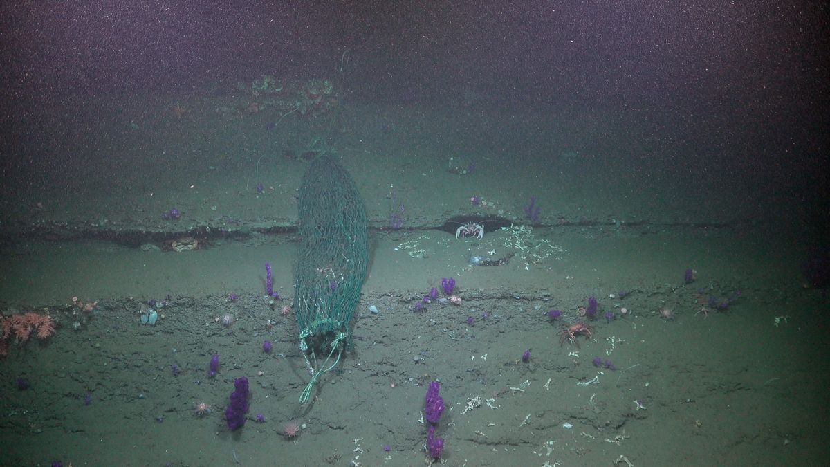 Una red de pesca. Fuente: Schmidt Ocean Institute