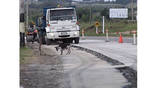 Colocan lomos de burro donde atropellaron a mujer y sus 3 hijos