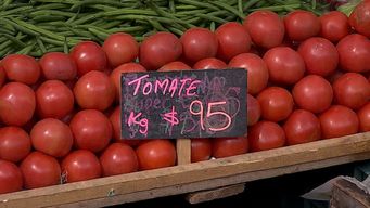 aumento del precio del tomate y se vende a 95 pesos el kilo o mas
