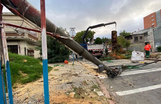Una palmera cayó por el viento y tiró abajo una columna del tendido eléctrico, en Agraciada y Valentín Gómez. Foto: Marcelo Auyanet, Subrayado.