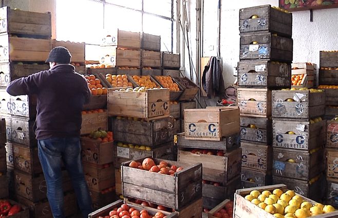 frutas-y-verduras-invierno-mercado-modelo.jpg