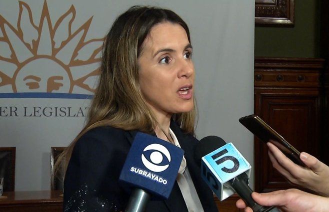 Debate en el Senado sobre la designación de Carolina Ache como embajadora.