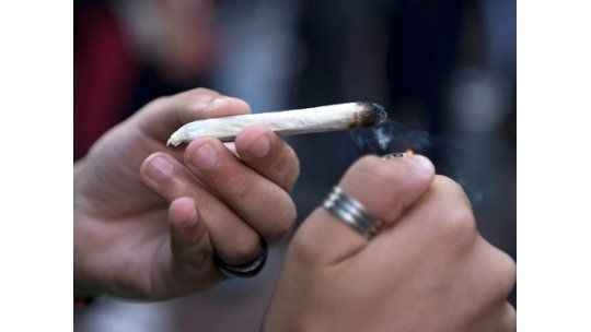 Gobierno anuncia este viernes reglamentación de ley de marihuana