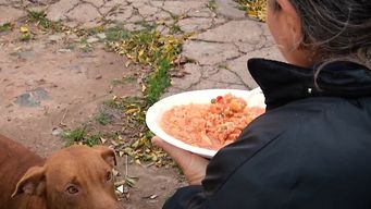 comenzaron a funcionar nuevos puntos de distribucion del plan de alimentacion territorial del mides