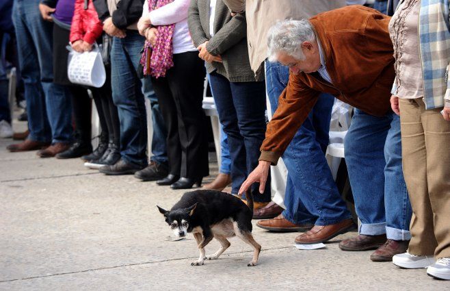 Mujica con su perra Manuela. Foto: AFP, archivo.
