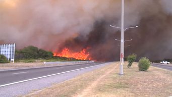 incendios forestales: estiman que la superficie quemada podria superar las 1.500 hectareas