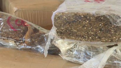 incautan 46 ladrillos de marihuana en un control de ruta en castillos