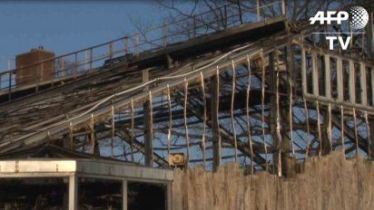 tras la muerte de 30 monos en un zoo, alemania reabre debate por pirotecnia