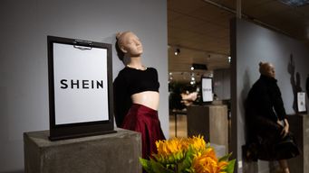 francia suspende habilitacion de la plataforma china shein por vender munecas sexuales con apariencia de ninas