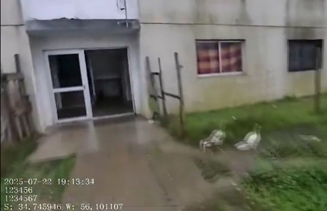 allanamiento-error-policia