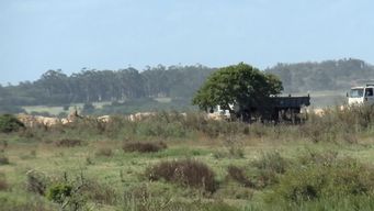 maldonado: vecinos denuncian que descarga de escombros afecta humedales; la intendencia afirma que respeta ambiente