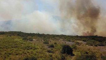 ¿que recomienda el sinae para evitar los incendios forestales?