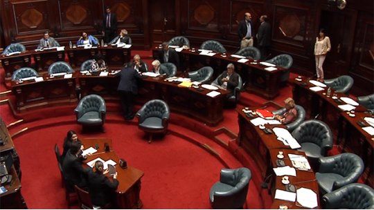 senado femicidio